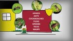 7.9% Bifenthrin Concentrate for Insect Control, 8-ounce - Image 4