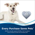 Bissell Professional Spot and Stain + Oxy Portable Machine Formula, 32 oz, 1-Pack, 32 Fl Oz - Image 4