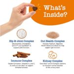 Senior Advanced Multifunctional Supplement for Dogs – Glucosamine & Chondroitin for Hip & Joint Support - Psyllium & Enzymes for Gut & Immune Health – Fish Oil, Antioxidants for Skin, Heart & Brain - Image 4