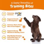 Zesty Paws Training Treats for Dogs & Puppies - Hip, Joint & Muscle Health - Immune, Brain, Heart, Skin & Coat Support - Bites with Fish Oil with Omega 3 Fatty Acids with EPA & DHA - PB Flavor - 12oz… - Image 3