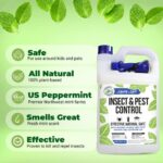 Mighty Mint Gallon (128 oz) Insect and Pest Control Peppermint Oil - Natural Spray for Spiders, Ants, and More - Image 3